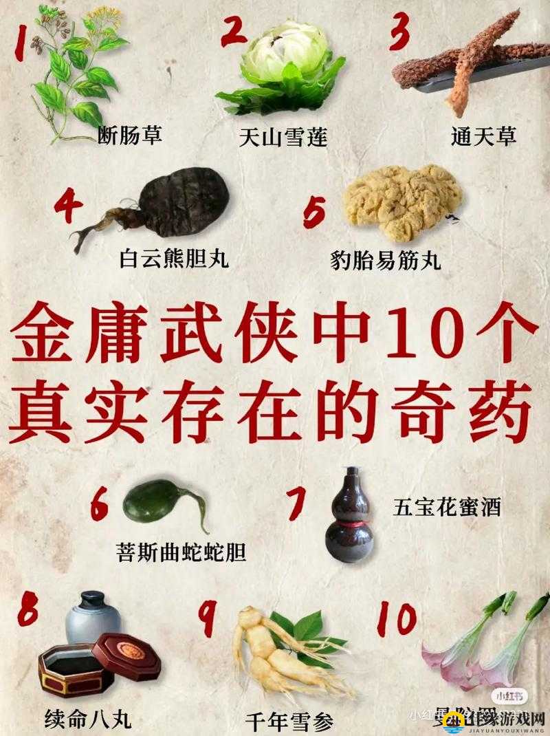 探究武侠乂游戏中普通草料的实际用途与重要性分析